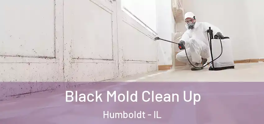  Black Mold Clean Up Humboldt - IL