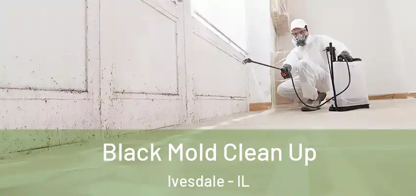  Black Mold Clean Up Ivesdale - IL