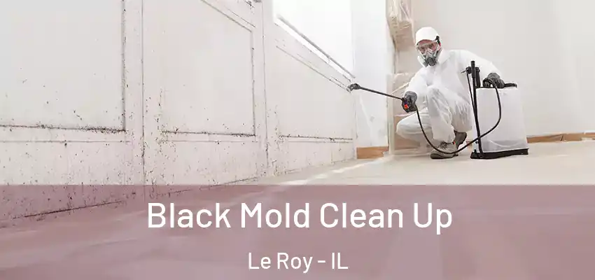  Black Mold Clean Up Le Roy - IL