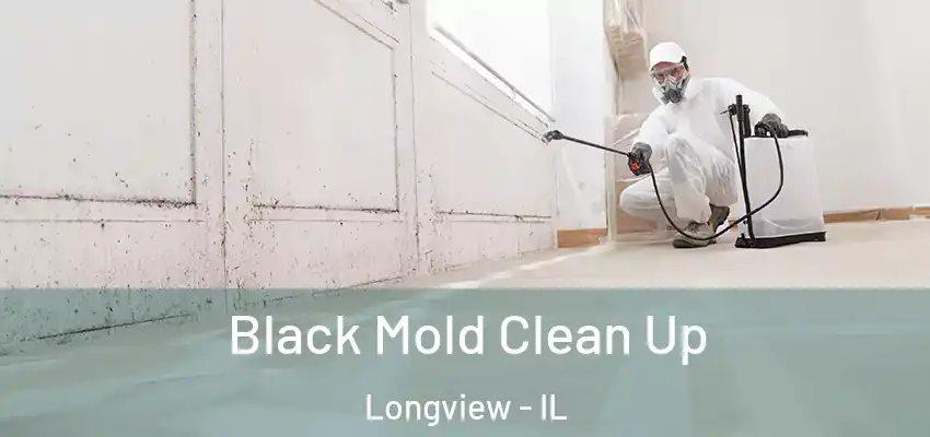 Black Mold Clean Up Longview - IL