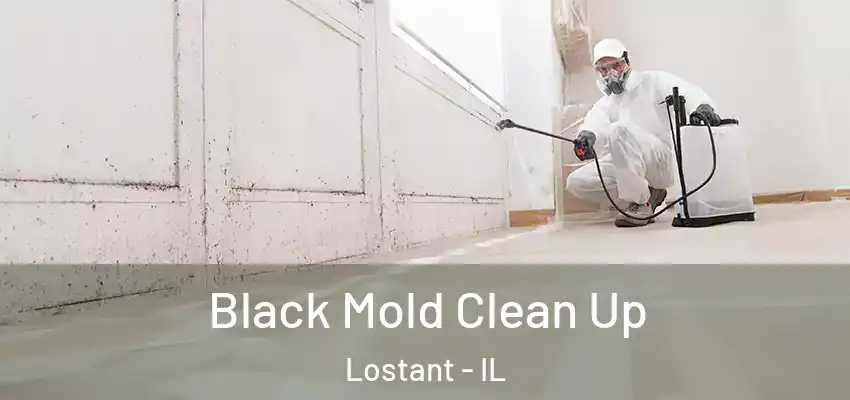  Black Mold Clean Up Lostant - IL
