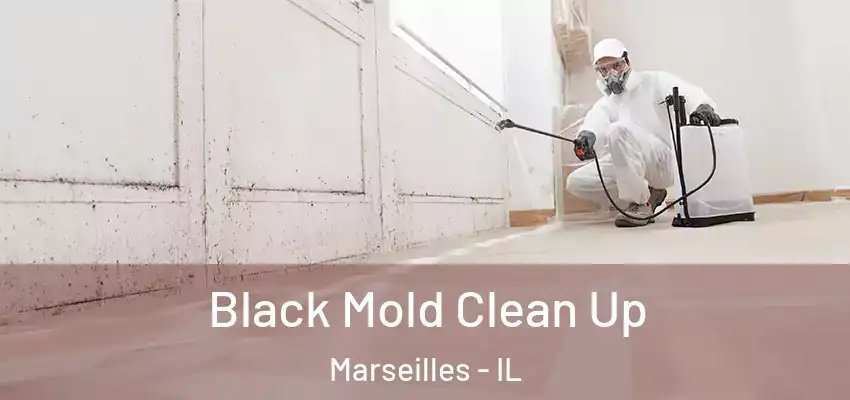  Black Mold Clean Up Marseilles - IL