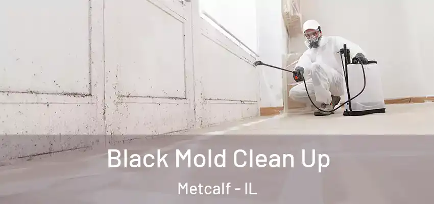  Black Mold Clean Up Metcalf - IL
