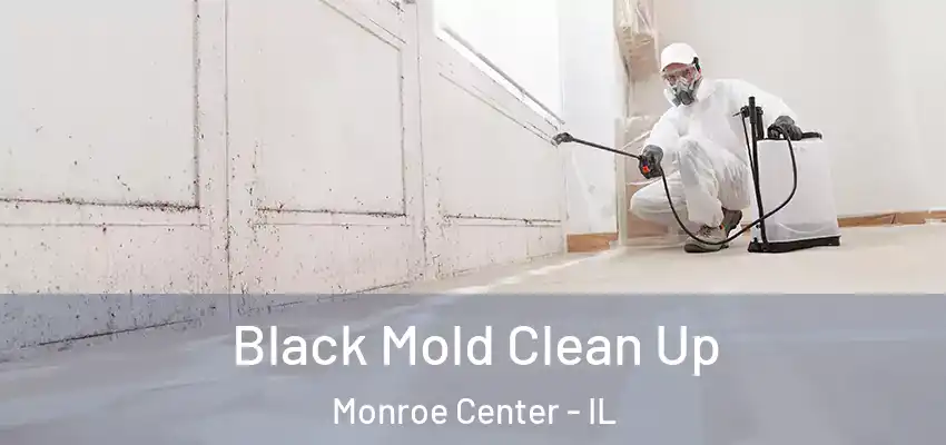  Black Mold Clean Up Monroe Center - IL