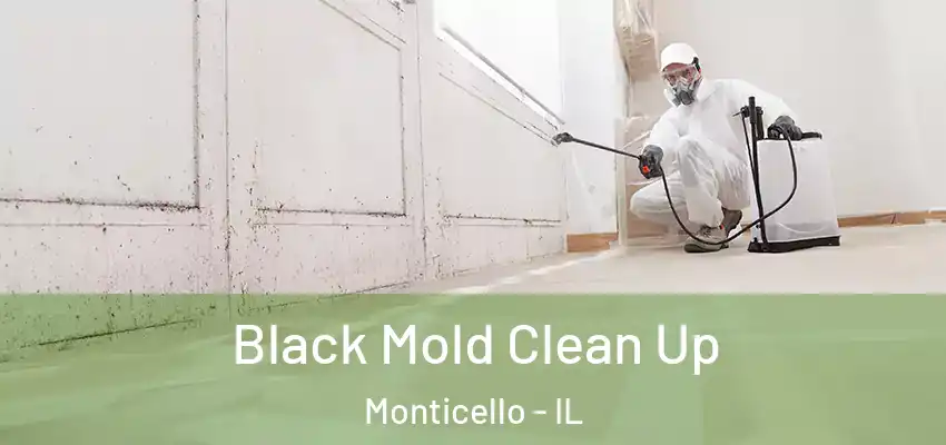  Black Mold Clean Up Monticello - IL