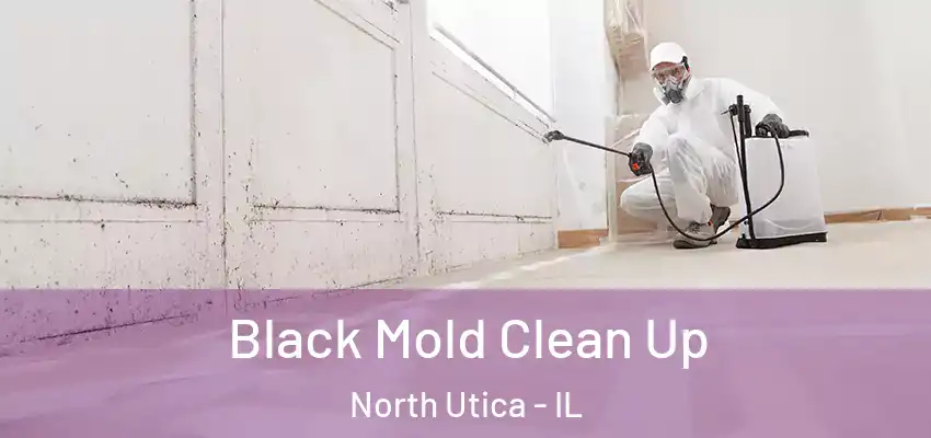  Black Mold Clean Up North Utica - IL