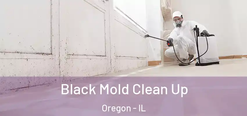  Black Mold Clean Up Oregon - IL