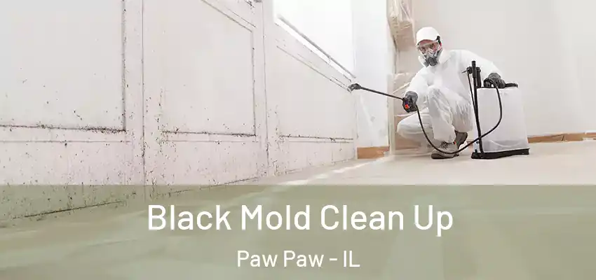  Black Mold Clean Up Paw Paw - IL