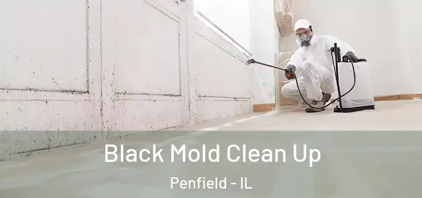  Black Mold Clean Up Penfield - IL