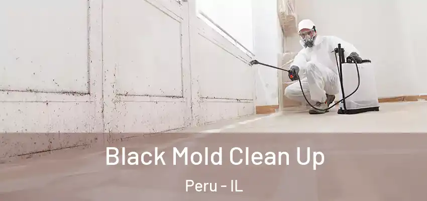  Black Mold Clean Up Peru - IL
