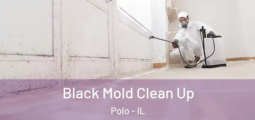  Black Mold Clean Up Polo - IL