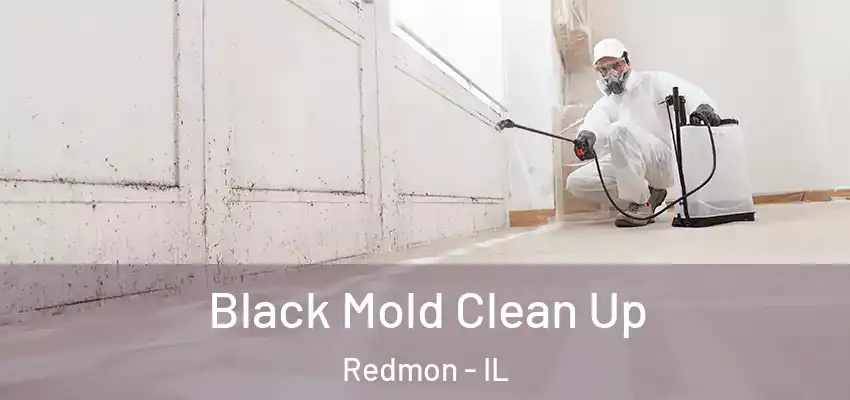  Black Mold Clean Up Redmon - IL