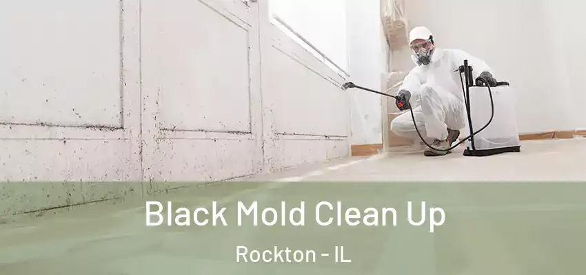  Black Mold Clean Up Rockton - IL