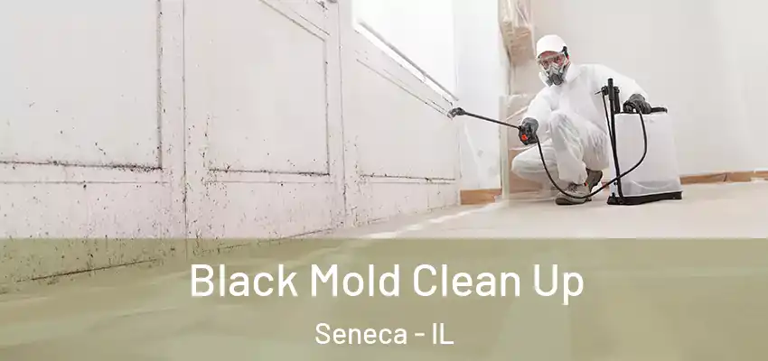  Black Mold Clean Up Seneca - IL