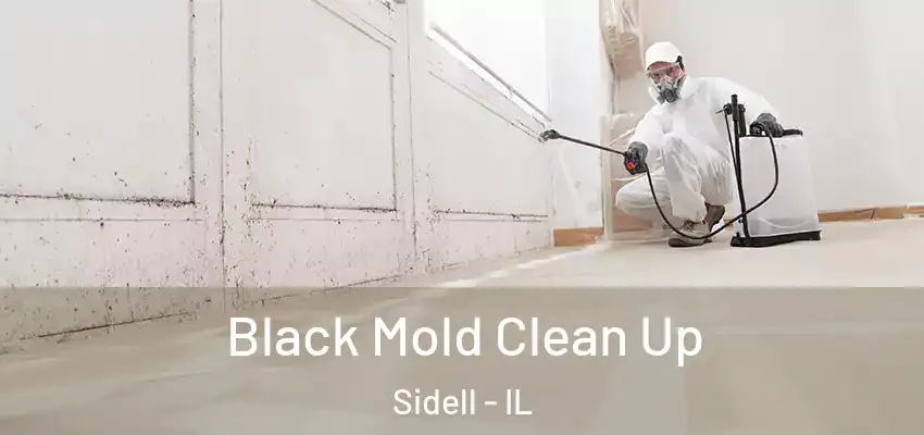  Black Mold Clean Up Sidell - IL