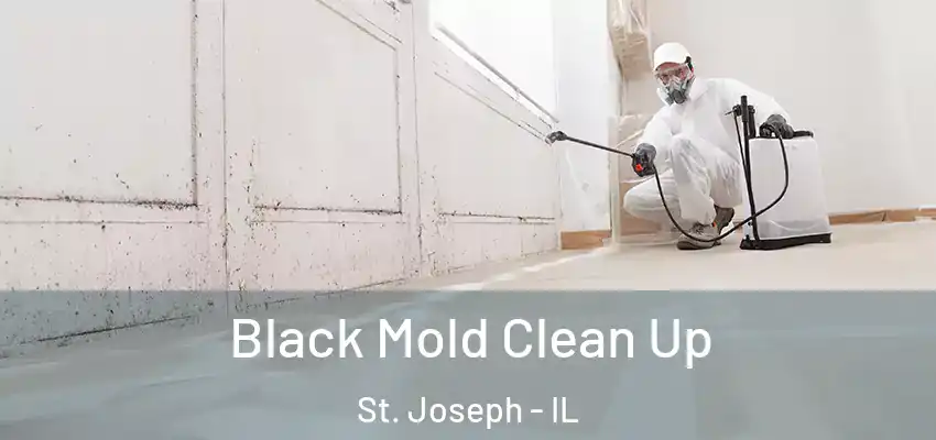  Black Mold Clean Up St. Joseph - IL