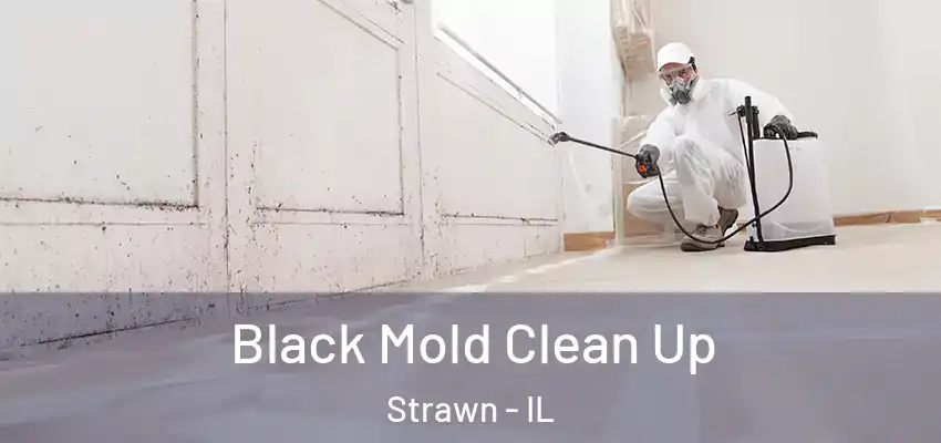  Black Mold Clean Up Strawn - IL