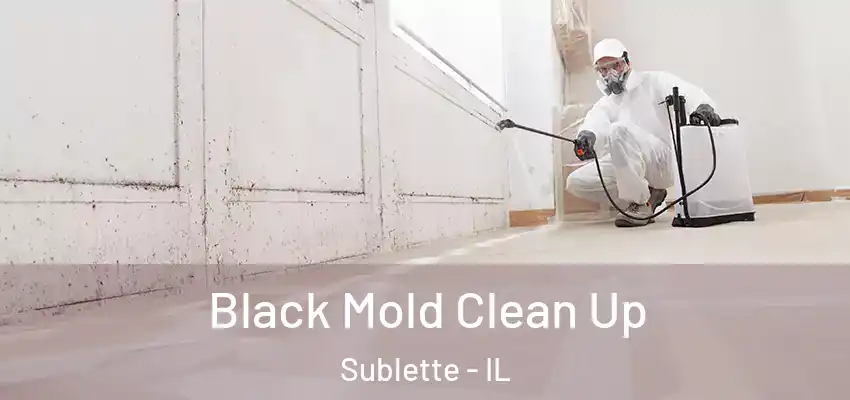  Black Mold Clean Up Sublette - IL