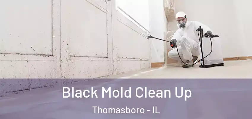  Black Mold Clean Up Thomasboro - IL