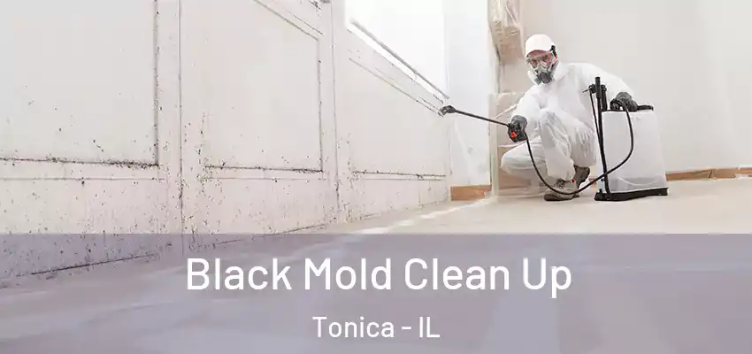  Black Mold Clean Up Tonica - IL