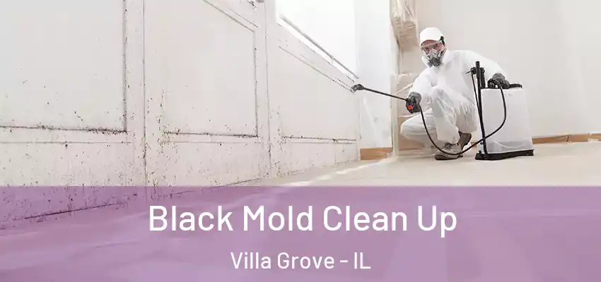  Black Mold Clean Up Villa Grove - IL