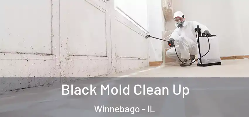  Black Mold Clean Up Winnebago - IL