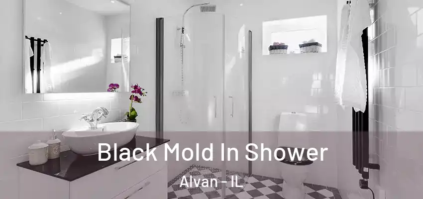  Black Mold In Shower Alvan - IL