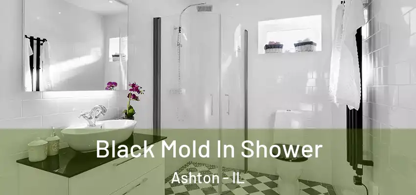  Black Mold In Shower Ashton - IL