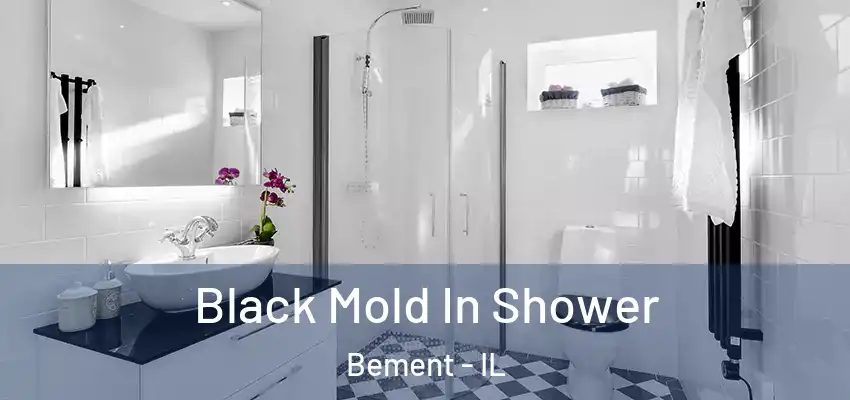  Black Mold In Shower Bement - IL