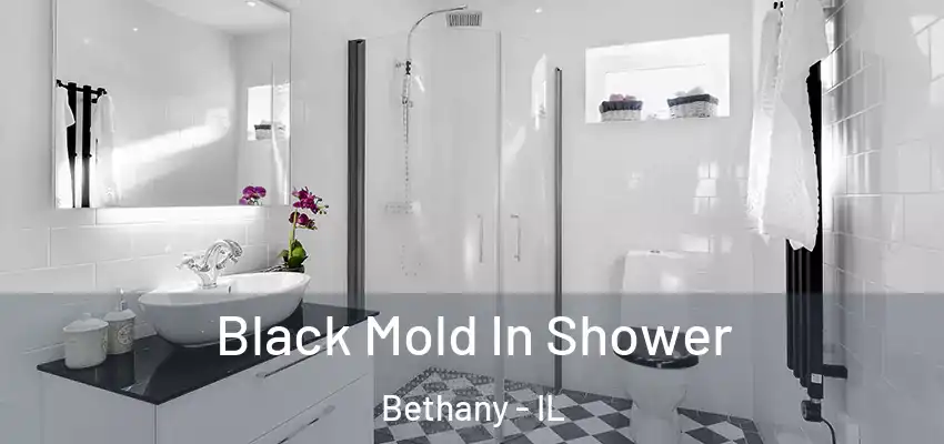  Black Mold In Shower Bethany - IL