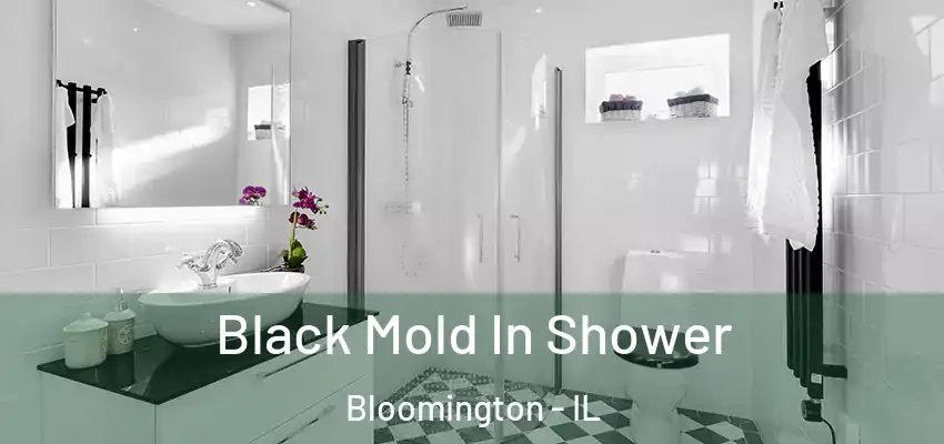  Black Mold In Shower Bloomington - IL