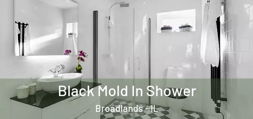  Black Mold In Shower Broadlands - IL