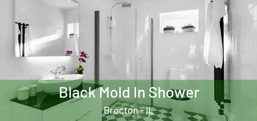  Black Mold In Shower Brocton - IL