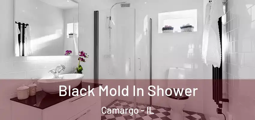  Black Mold In Shower Camargo - IL