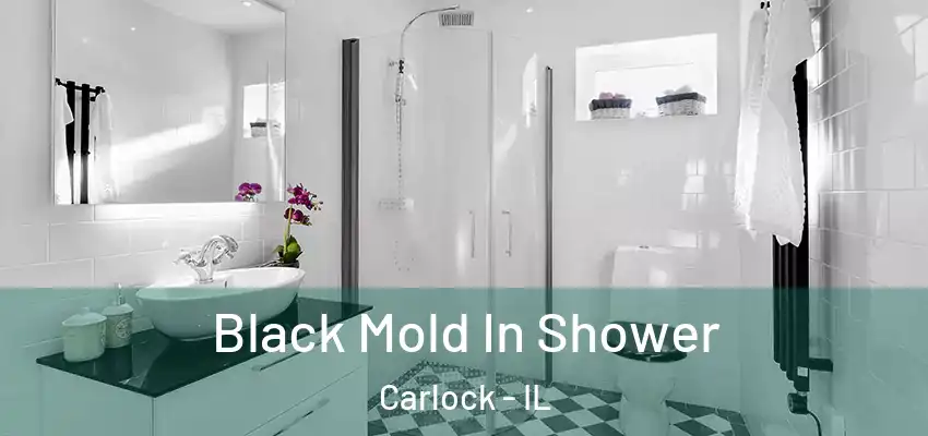  Black Mold In Shower Carlock - IL