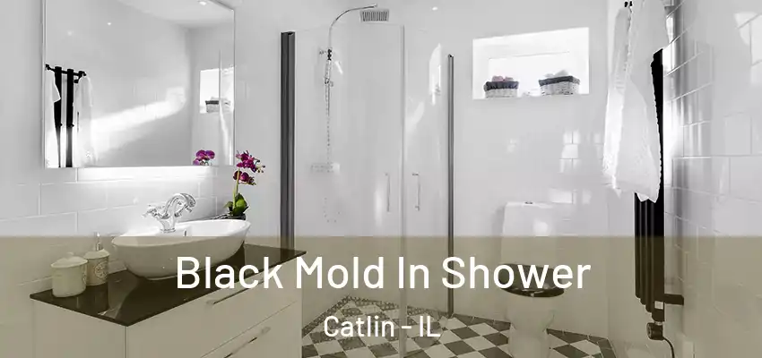  Black Mold In Shower Catlin - IL