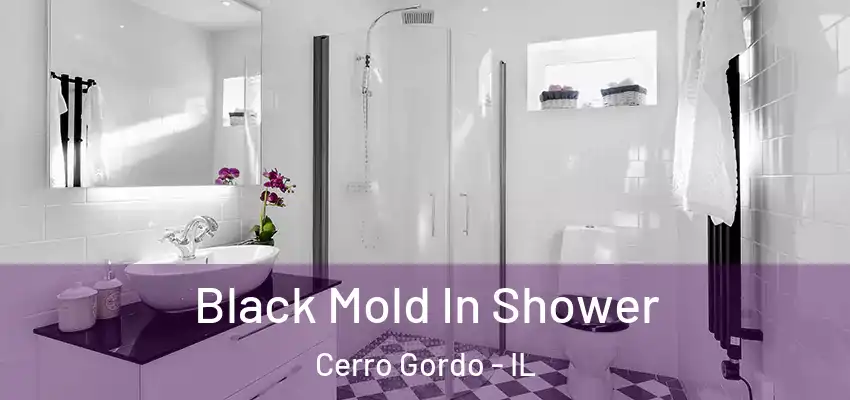  Black Mold In Shower Cerro Gordo - IL