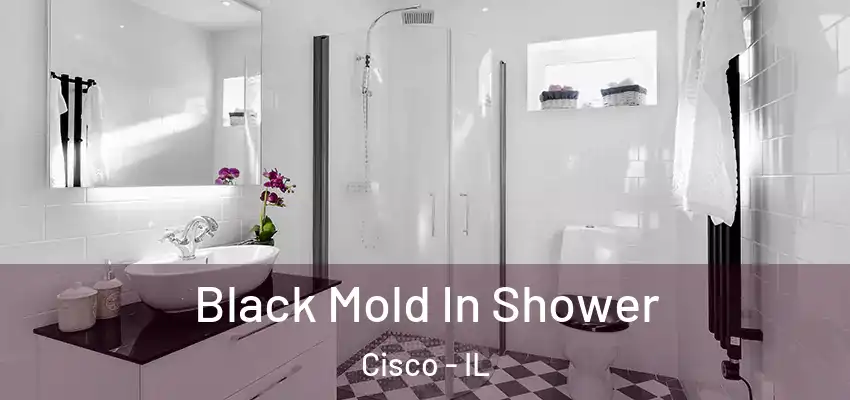  Black Mold In Shower Cisco - IL