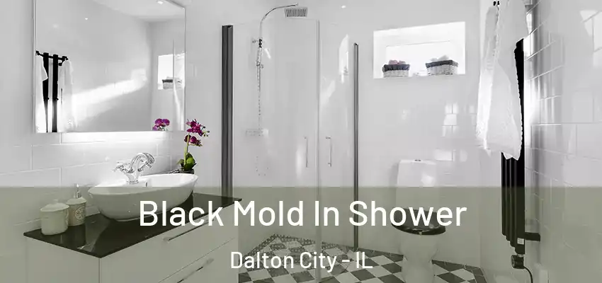  Black Mold In Shower Dalton City - IL