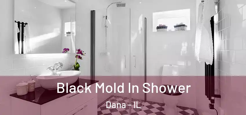  Black Mold In Shower Dana - IL