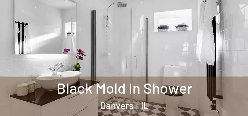  Black Mold In Shower Danvers - IL