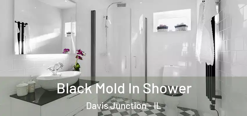  Black Mold In Shower Davis Junction - IL