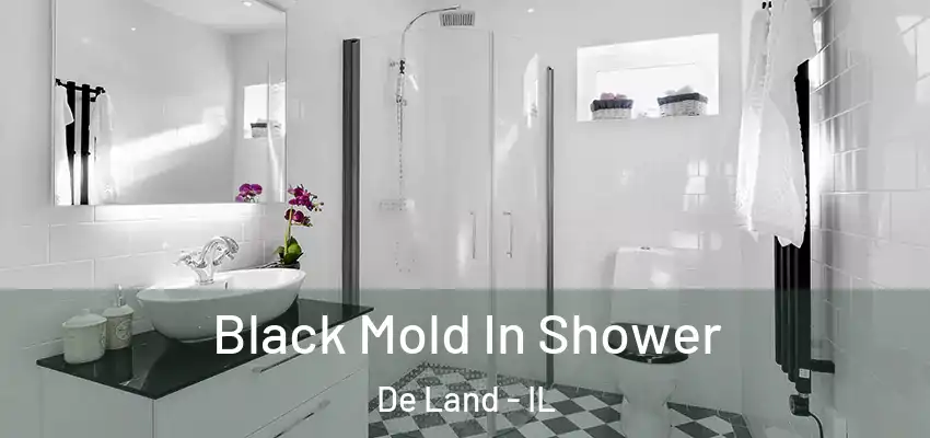  Black Mold In Shower De Land - IL