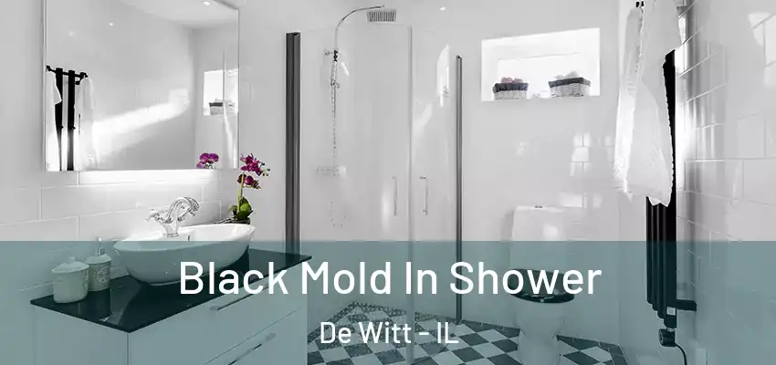  Black Mold In Shower De Witt - IL