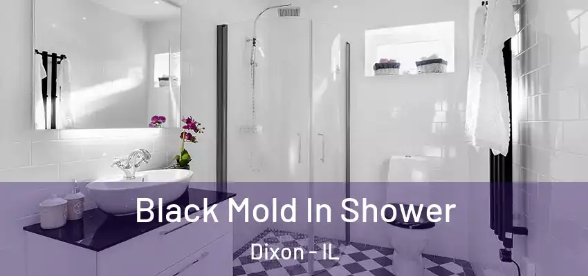  Black Mold In Shower Dixon - IL