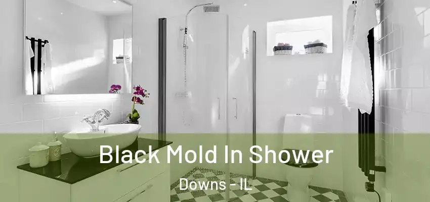 Black Mold In Shower Downs - IL