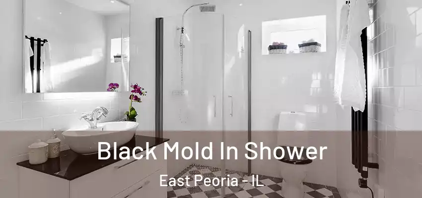  Black Mold In Shower East Peoria - IL