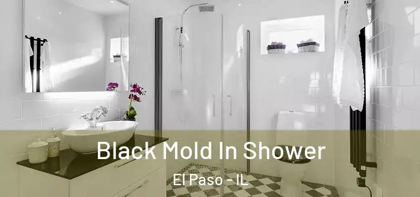  Black Mold In Shower El Paso - IL
