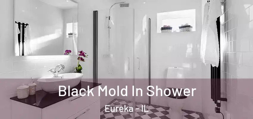 Black Mold In Shower Eureka - IL