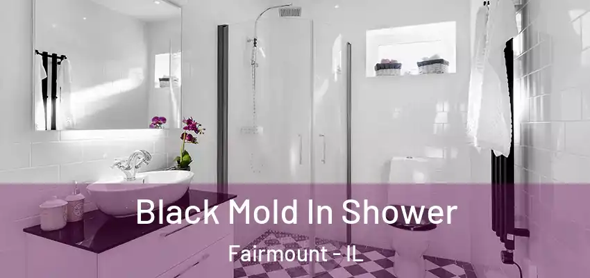  Black Mold In Shower Fairmount - IL